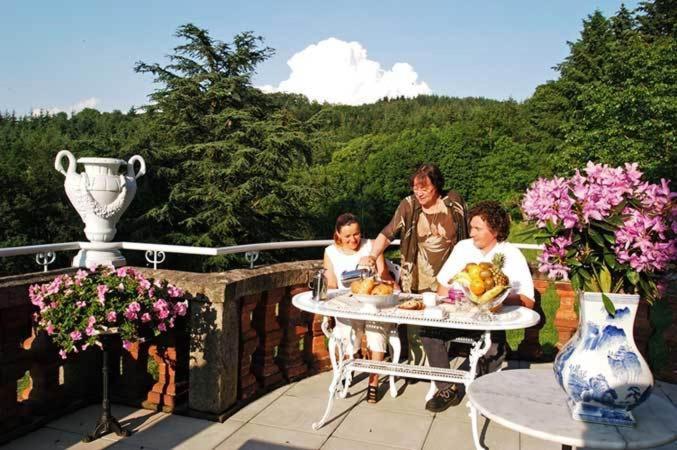 Domaine De Gaudon Bed & Breakfast Ceilloux Ngoại thất bức ảnh